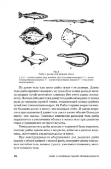 Сафронова, Дацун, Максимова: Сырье и материалы рыбной промышленности. Учебник. СПО