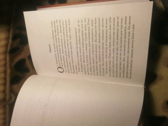 Анна Тодд: До того как