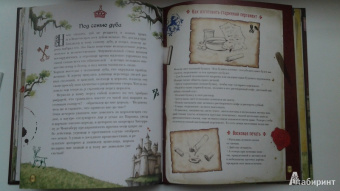 Поль Бопэр: Рыцари
