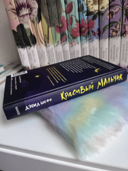 Дэвид Шефф: Красивый мальчик. Правдивая история отца, который боролся за сына