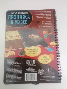Книга с фонариком. Пропажа в музее