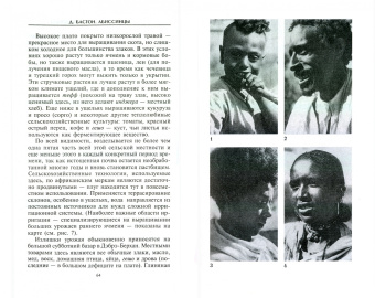 Дэвид Бакстон: Абиссинцы. Потомки царя Соломона