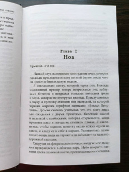 Пэм Дженофф: История сироты