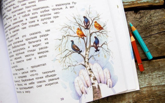 Дороченкова, Кравчук: Лесные секреты