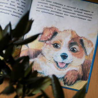 Анна Федулова: Вместе не страшно