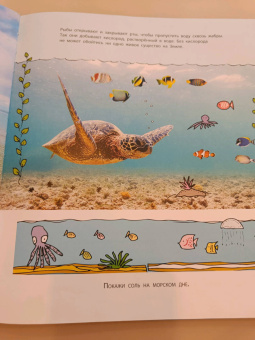 Мак Гагельдонк: От ручейка до океана. Водный мир нашей планеты