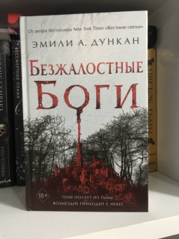 Эмили Дункан: Безжалостные боги (#2)