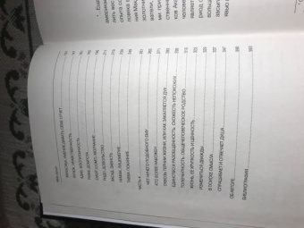 Шамиль Аляутдинов: Мир души