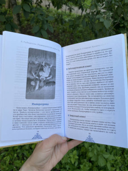 Лиза Робертсон: Перевернутые карты Таро. Пять подходов к толкованию