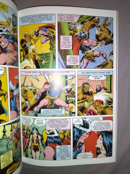 Рой Томас: Конан-варвар. Королева Чёрного побережья