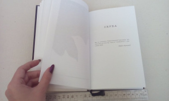 Шамиль Аляутдинов: Мир души