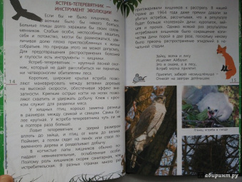 Василий Вишневский: Наши птицы. Определитель для детей