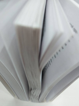 Майкл Роуч: Кармический менеджмент. Эффект бумеранга в бизнесе и в жизни