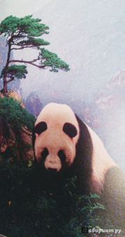 Бамбарадения, Вудрафф, Гинзберг: Животный мир. Иллюстрированный атлас