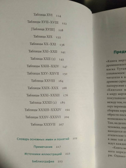 Бадж Эрнест Альфред Уоллес: Египетская книга мертвых