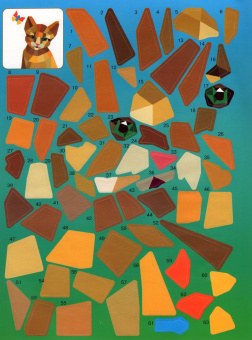 Котята и кошки