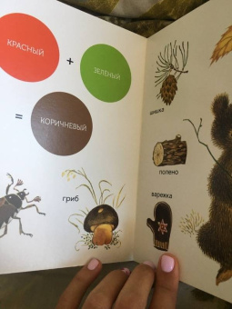 Елена Ивановская: Моя первая книжка о цвете