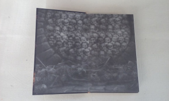 Джесс Буллингтон: Печальная история братьев Гроссбарт