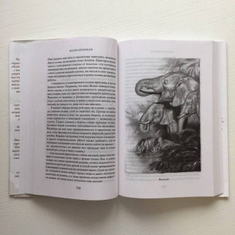 Мари Бреннан: Тропик Змеев