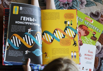 Макс Пембертон: Тело человека. Как работает наш удивительный организм