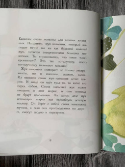 Реми Мазель: Фу!