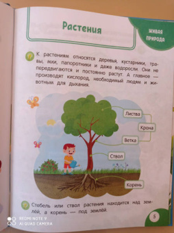 Татьяна Маланка: Моя первая книга открытий. Для детей от 3-х лет