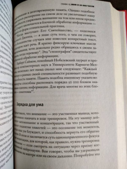 Дэниел Гоулман: Фокус. О внимании, рассеянности и жизненном успехе
