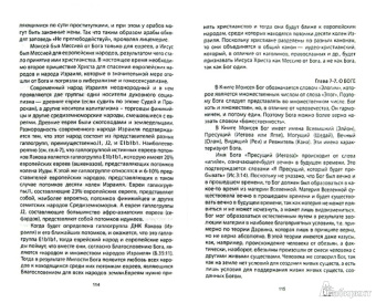 А. Бедрицкий: Мессия