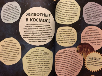 Бедуайер Камилла де ла: Герои животного мира. Удивительные истории, рекорды и подвиги