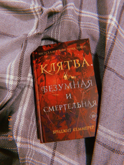 Бриджит Кеммерер: Клятва безумная и смертельная