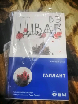 Виктория Шваб: Галлант