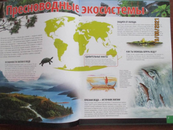 Жизнь животных. Реки и озера