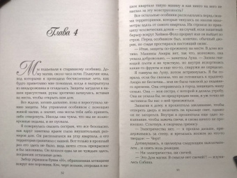 Амелия Хатчинс: Пламя хаоса