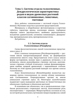 Инна Воскобойникова: Дендрология. Часть 2. Дендрохарактеристика изучаемых видов. Голосеменные. Учебное пособие