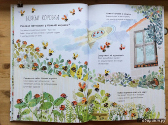 Зоммер, Тейлор: Большая книга букашек