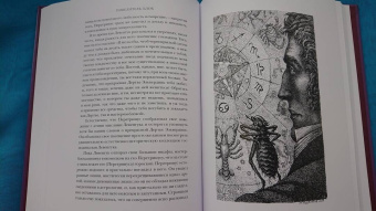 Гофман Эрнст Теодор Амадей: Повелитель блох