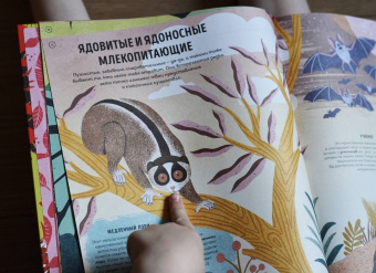 Ико Ромеро: Ядовитые животные. Кто, зачем и как использует яды в дикой природе