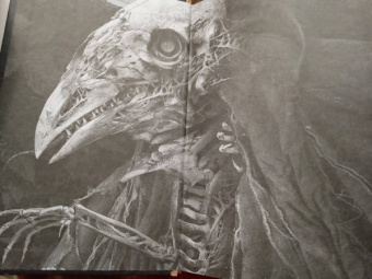 Ярослав Гжендович: Пепел и пыль