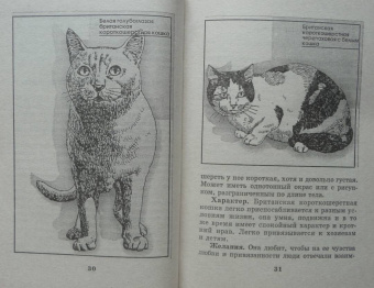 Мария Солодова: Чего хочет ваша кошка