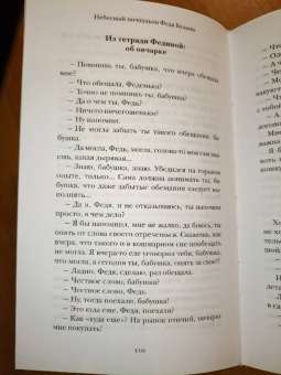 Александра Николаенко: Небесный почтальон Федя Булкин