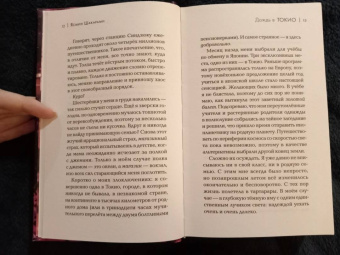 Ясмин Шакарами: Дождь в Токио