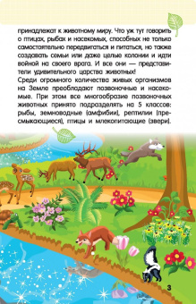 Дмитрий Кошевар: Животные