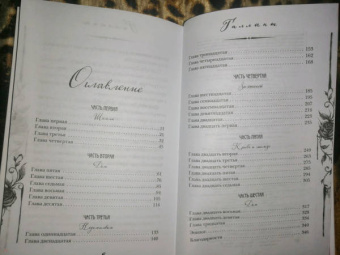 Виктория Шваб: Галлант