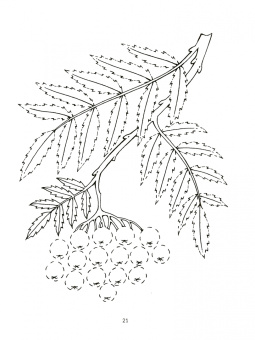 Ольга Крупенчук: Большая книга для подготовки руки к письму