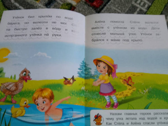 Ирина Шестакова: Как Мишутка помог белке