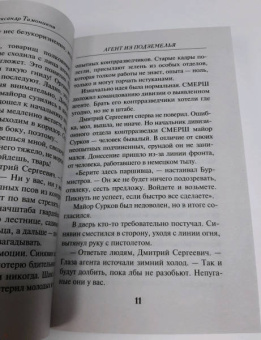 Александр Тамоников: Агент из подземелья