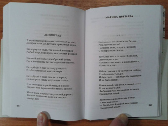 Блок, Ходасевич, Волошин: Поэты Серебряного века. Антология
