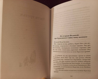 Александра Николаенко: Небесный почтальон Федя Булкин