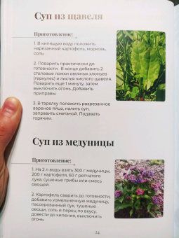 (Дзюбан) Букат: Блюда из дикорастущих растений