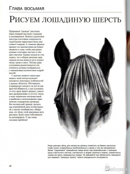 Ли Хэммонд: Учимся рисовать лошадей